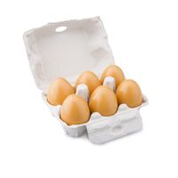 New Classic Toys - Eggs in Carton