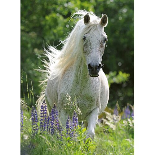 Ravensburger - Horse in Flowers Puzzle 100pc